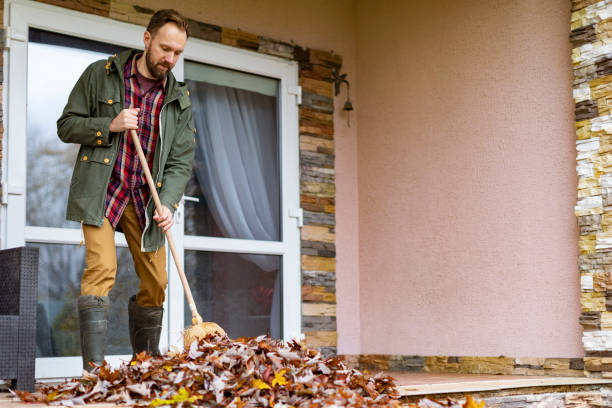 Best Basement Cleanout Services  in Bay Village, OH